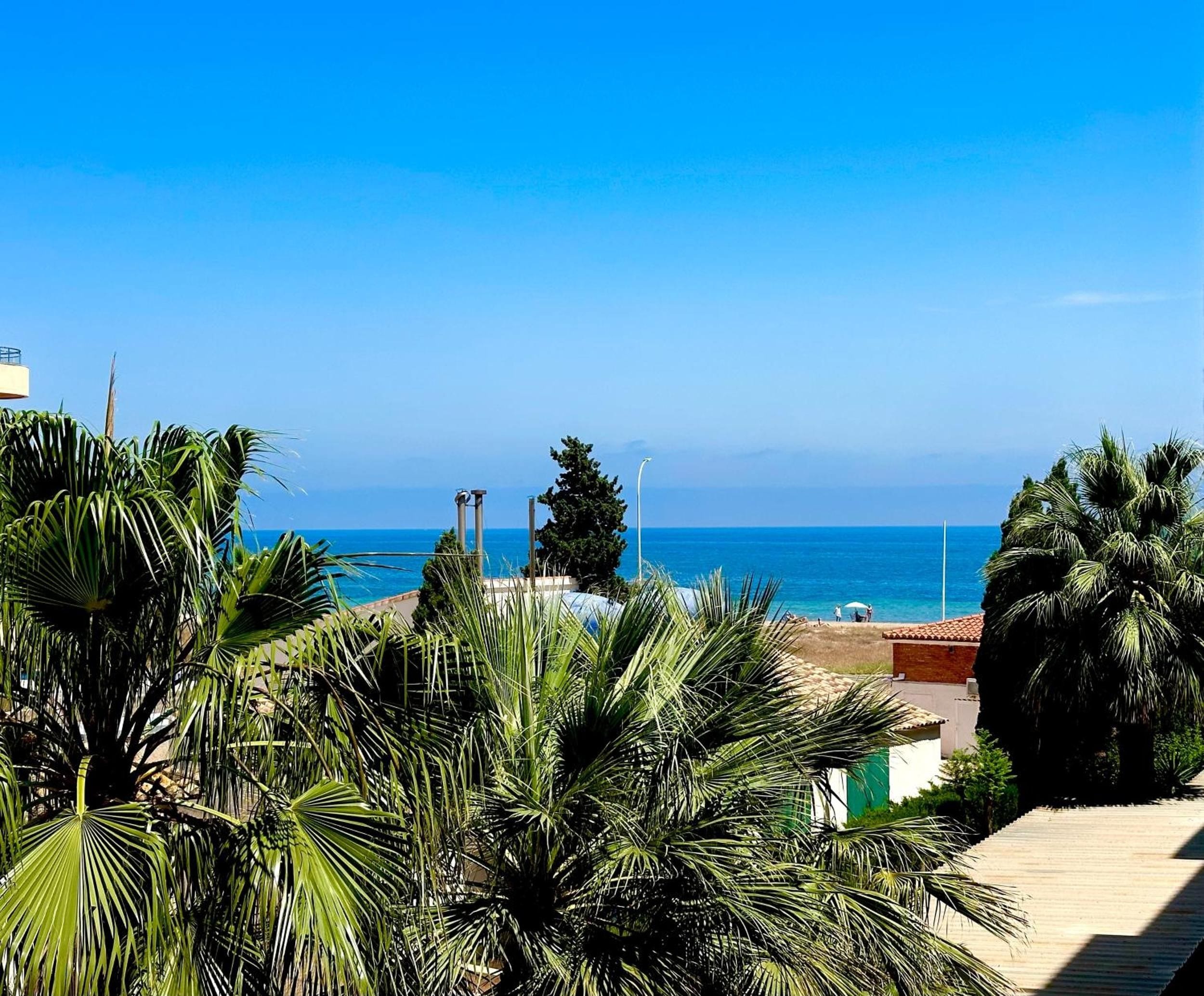 Une vue sur la côte, avec des palmiers, une plage et un ciel dégagé.