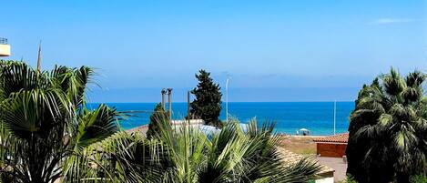 Une vue sur la côte, avec des palmiers, une plage et un ciel dégagé.