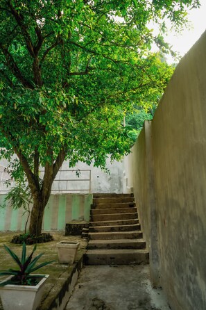 Μια σκάλα που οδηγεί προς ένα κτίριο, με ένα δέντρο να προσφέρει σκιά.