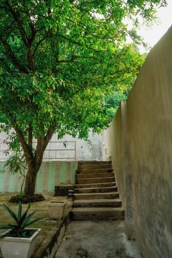 Eine Treppe führt zu einem Gebäude, das von einem Baum beschattet wird.