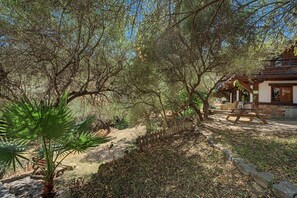 Una cabaña rústica con terraza de madera, rodeada de árboles frondosos y una planta de palmera.