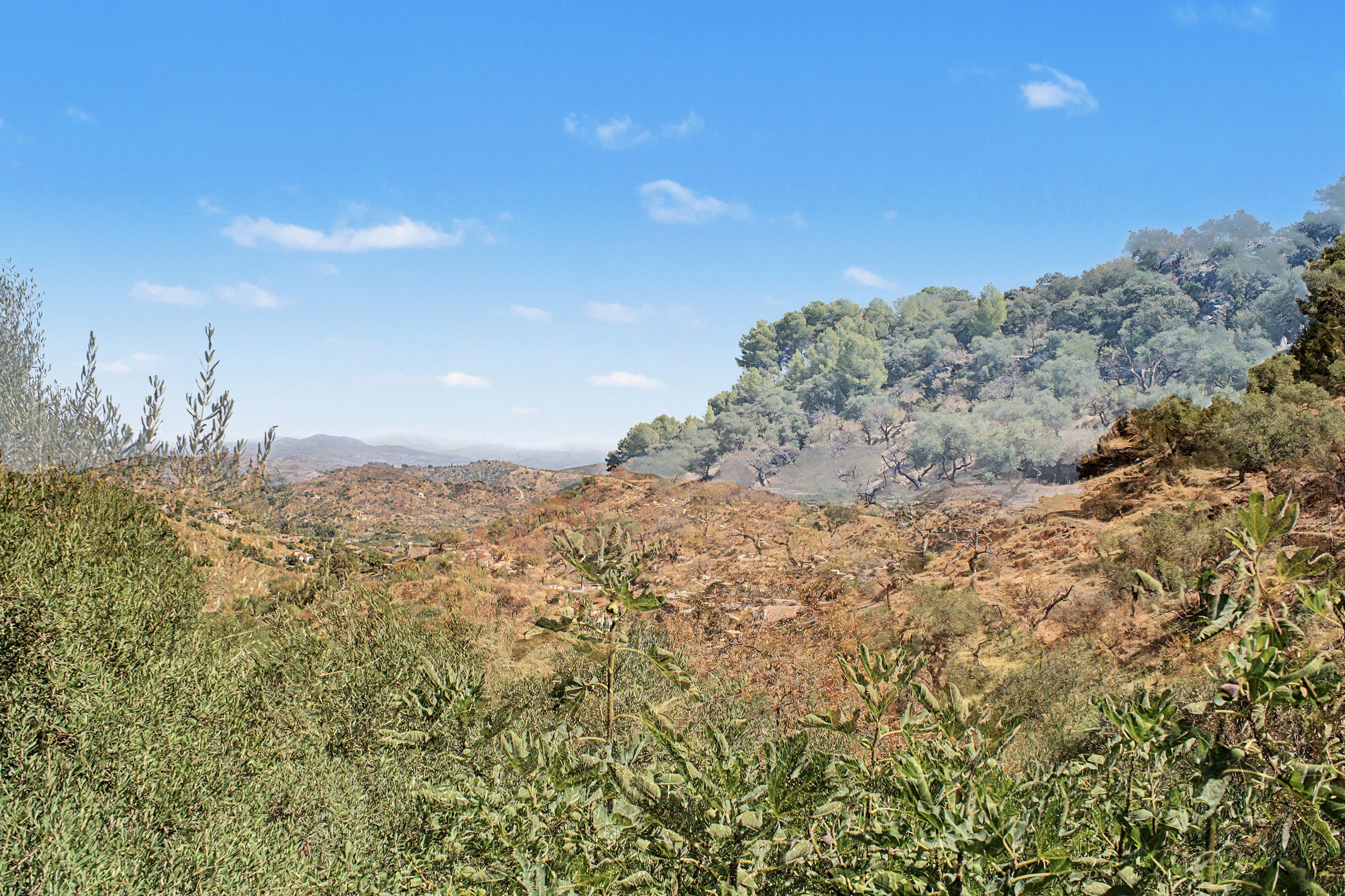 Un paysage naturel caractérisé par une végétation variée et une chaîne de montagnes visible au loin.