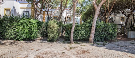 A paved courtyard with trees and a building with multiple windows.
