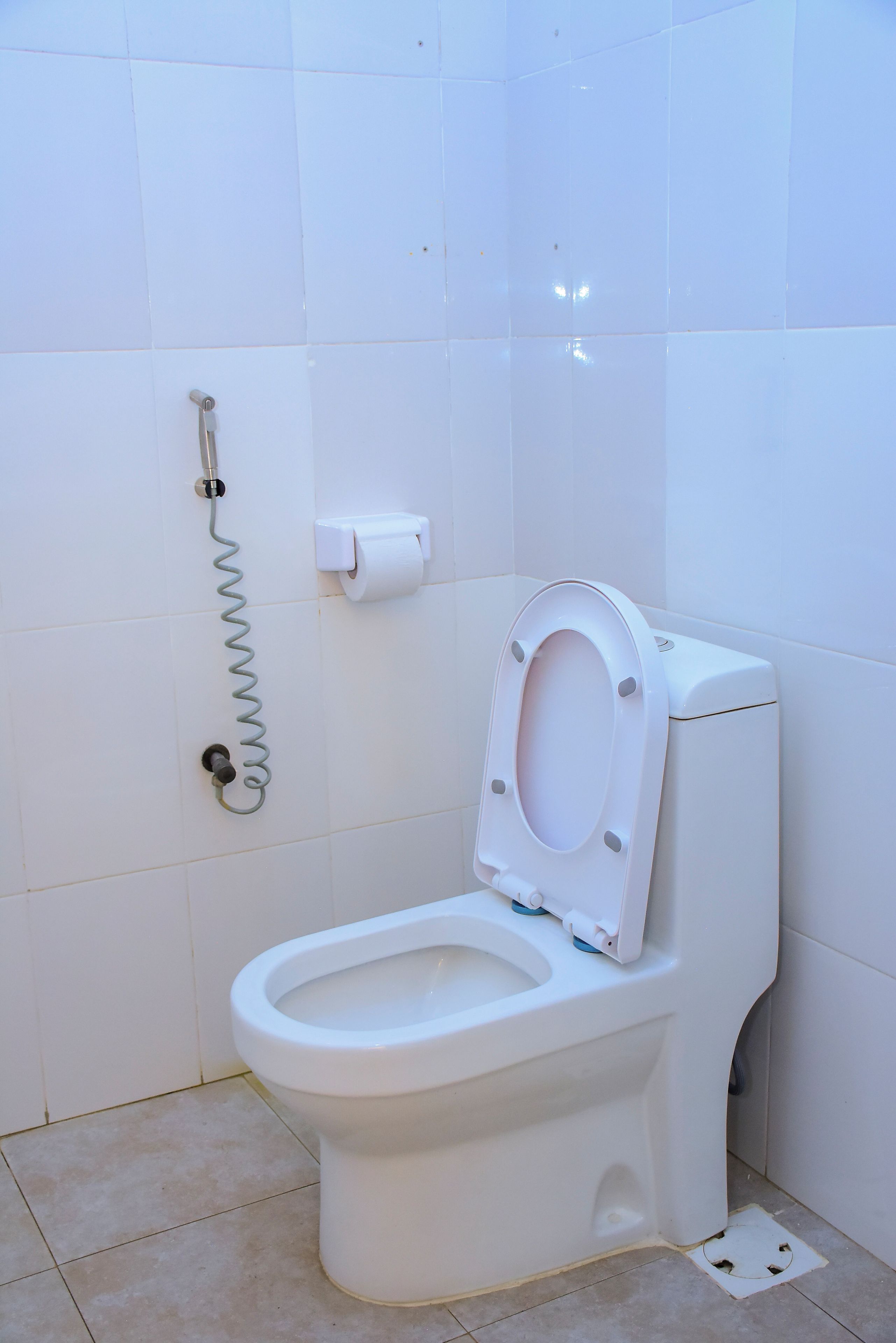 Un inodoro blanco con el asiento cerrado, un dispensador de papel higiénico y un bidé.