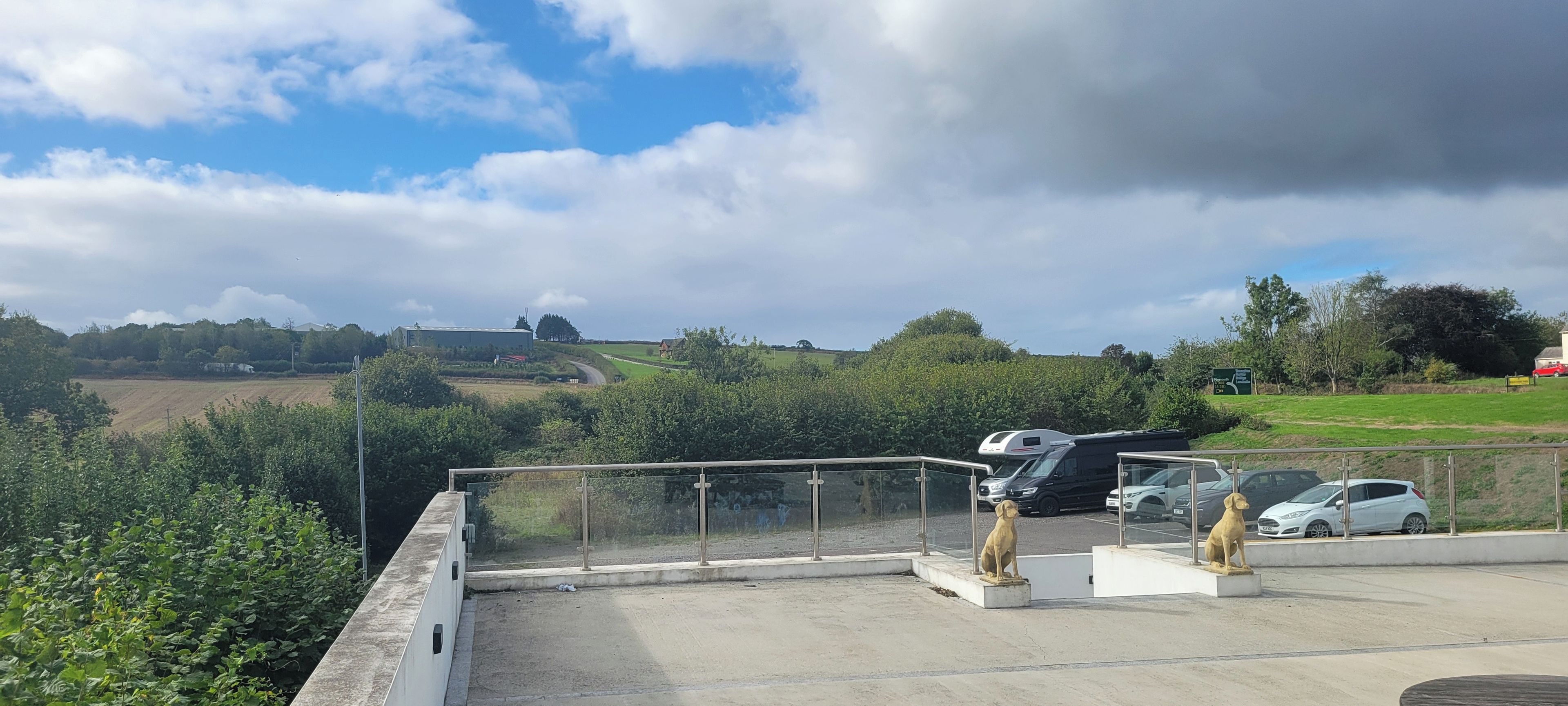 Een parkeerplaats met voertuigen en een standbeeld van een hond.