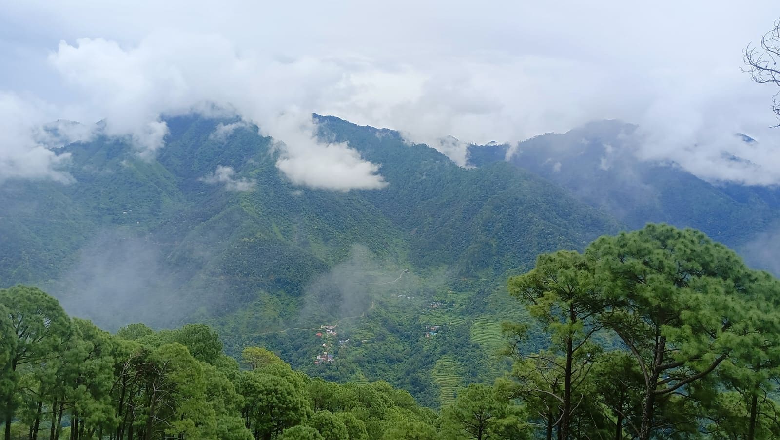 Un paisaje montañoso con bosques densos y un valle.
