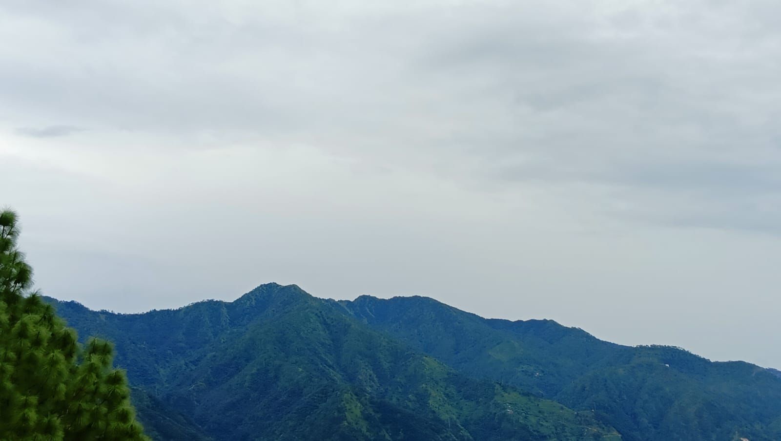 Cordillera con vegetación verde y densa.