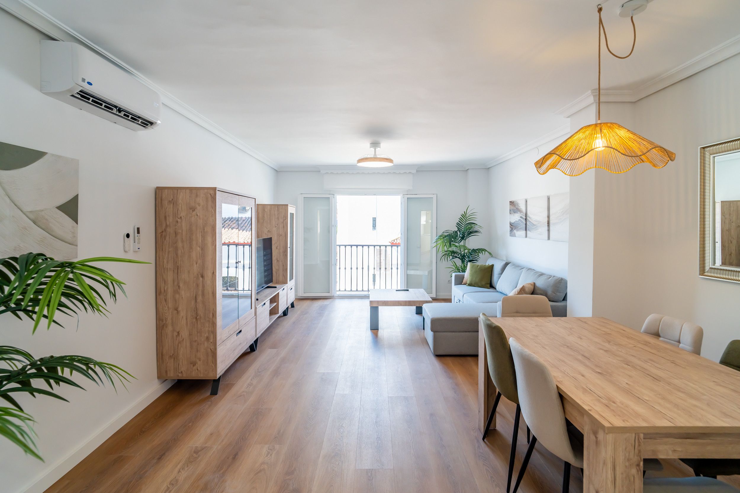 A modern living space with a dining area, a sofa, a TV, and a plant.