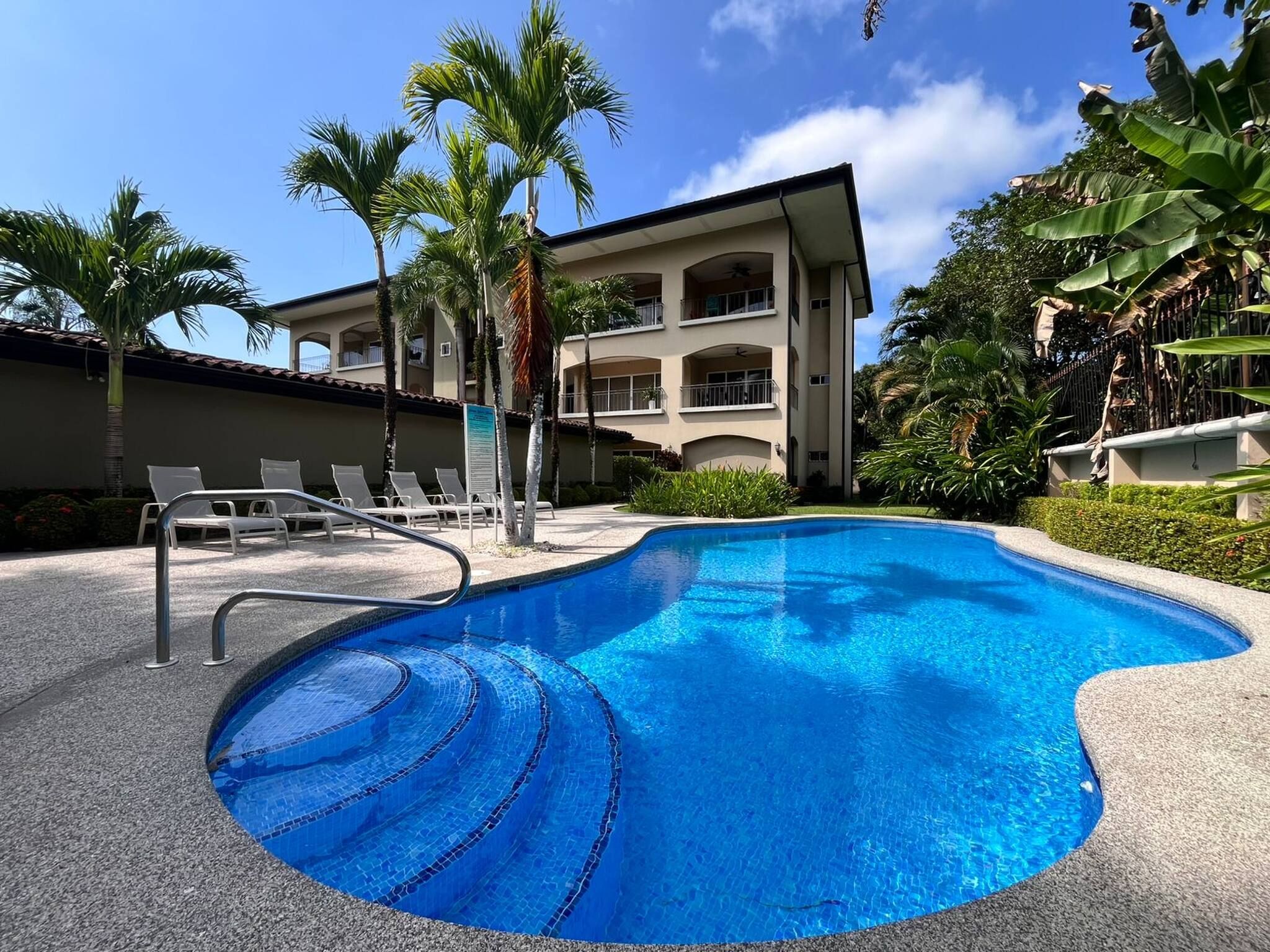 A swimming pool with a tiled edge, surrounded by lounge chairs and palm trees.