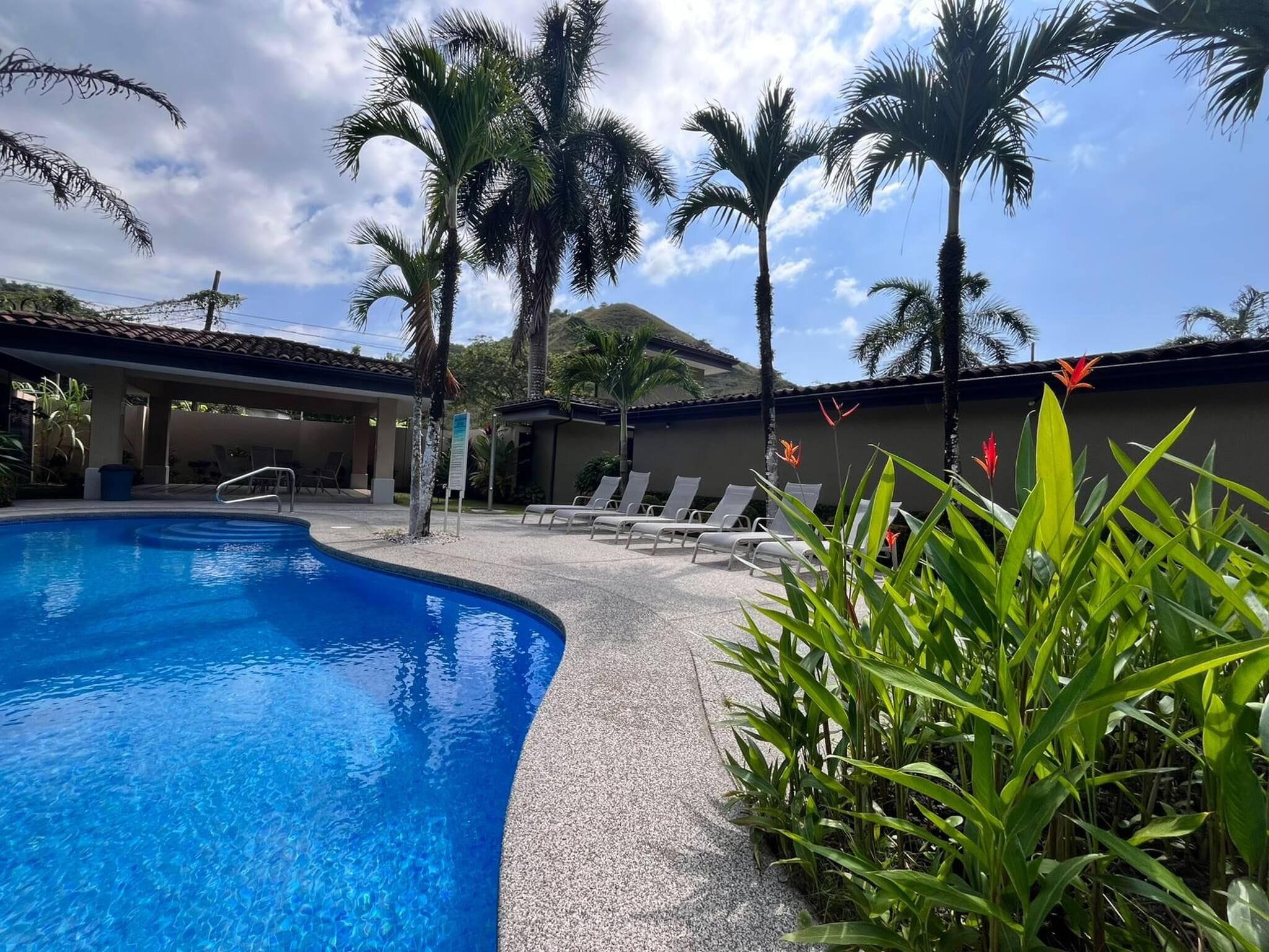 A swimming pool with lounge chairs and palm trees.
