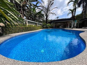 Piscina azul cristalina rodeada de plantas tropicales y un área techada con sillas.