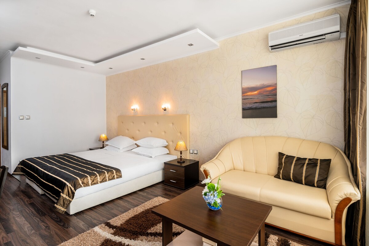 A hotel room with a bed, a sofa, a nightstand, an air conditioner, and a wall-mounted picture.