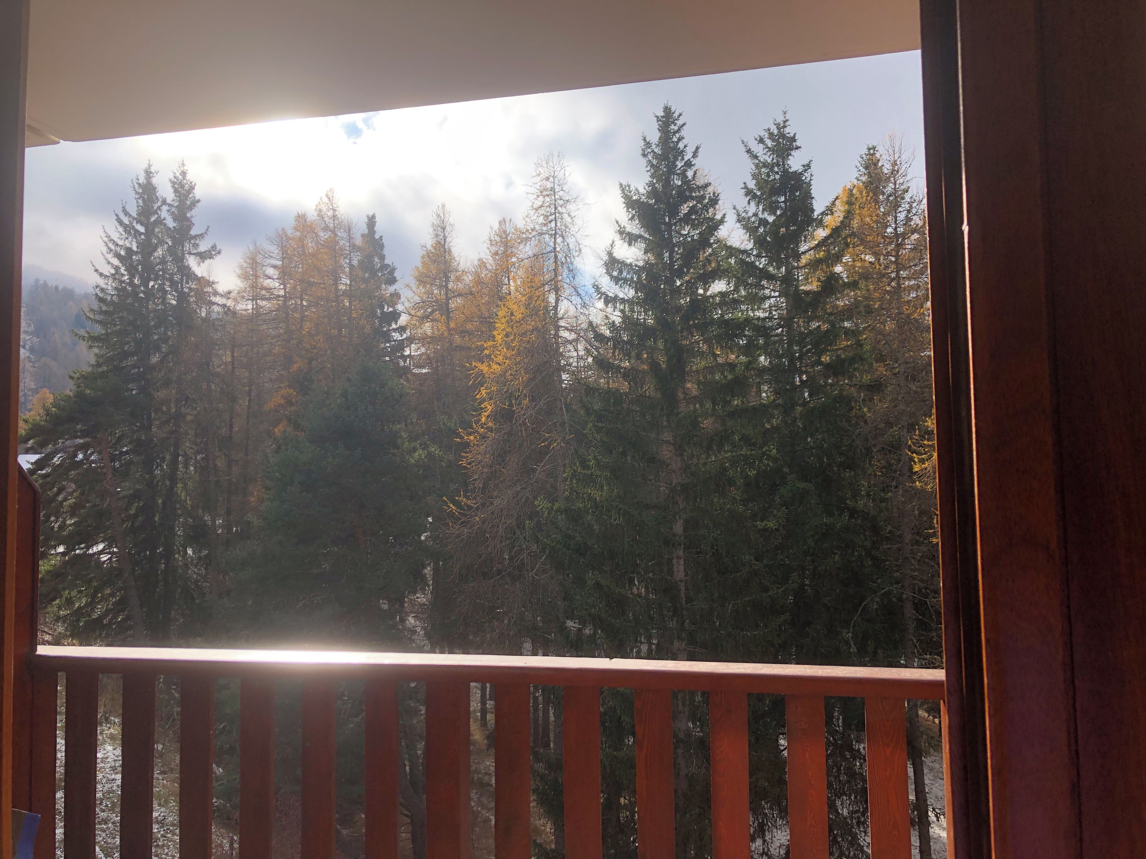 A view from a balcony with a railing, overlooking a forested area with trees and a cloudy sky.