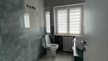 Shower, hair dryer, bidet, towels