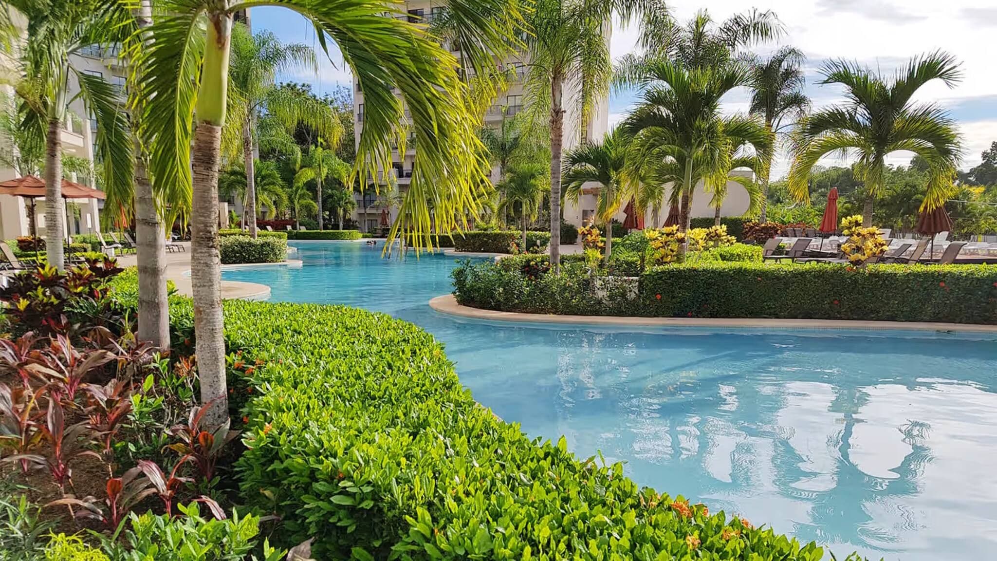 A swimming pool surrounded by palm trees and greenery, with lounge chairs and umbrellas.