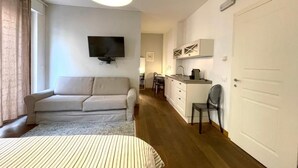 Une chambre comprenant un lit, un canapé, une télévision et un coin cuisine.