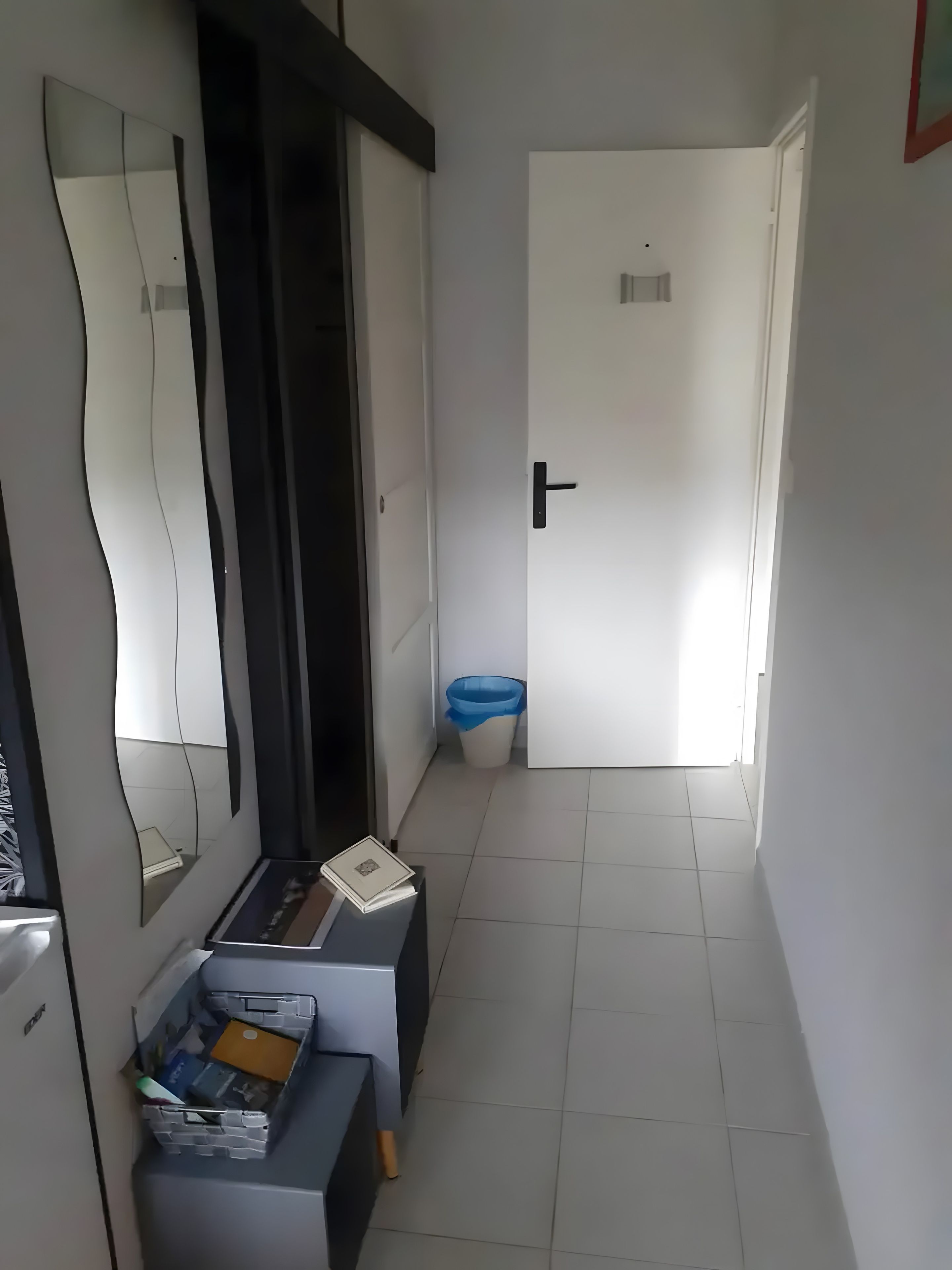 Un couloir avec une porte blanche, une poubelle bleue et un miroir accroché au mur.