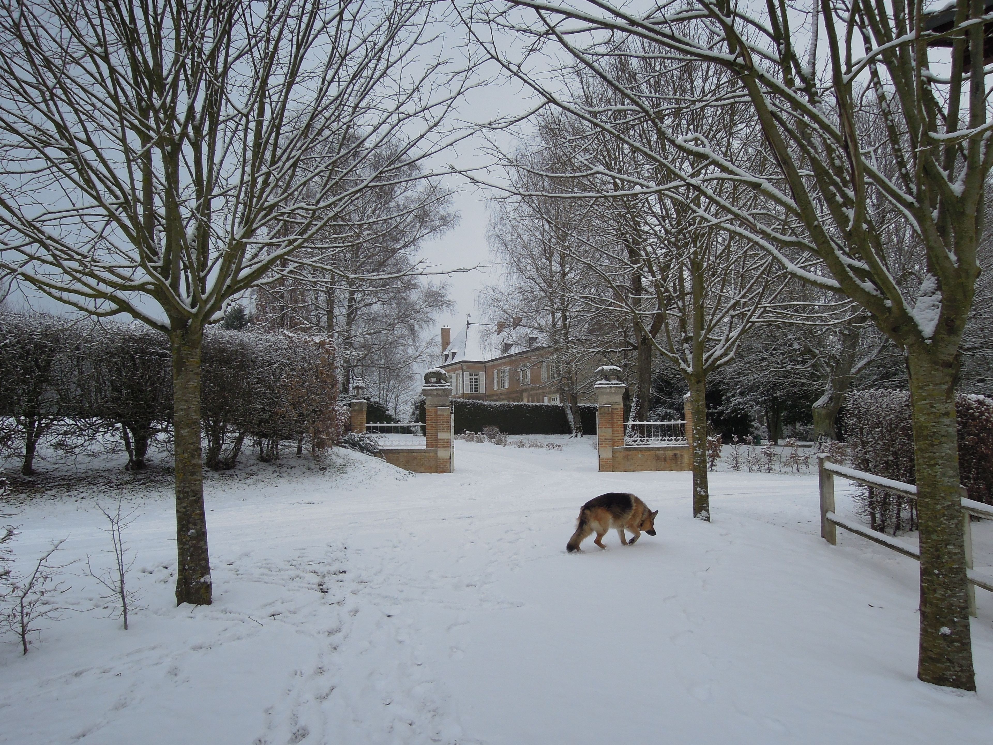 A snow-covered pathway leading to a brick building with a gated entrance.
