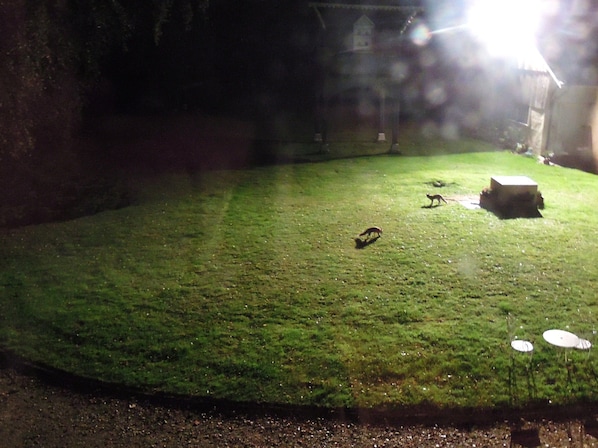 A grassy outdoor area with a small structure and a dog.