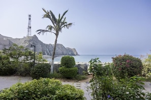Un paisaje costero con un acantilado rocoso, una palmera y una vista despejada del mar.