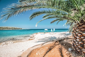 Une plage à l’eau turquoise et limpide, au sable blanc, avec un palmier.