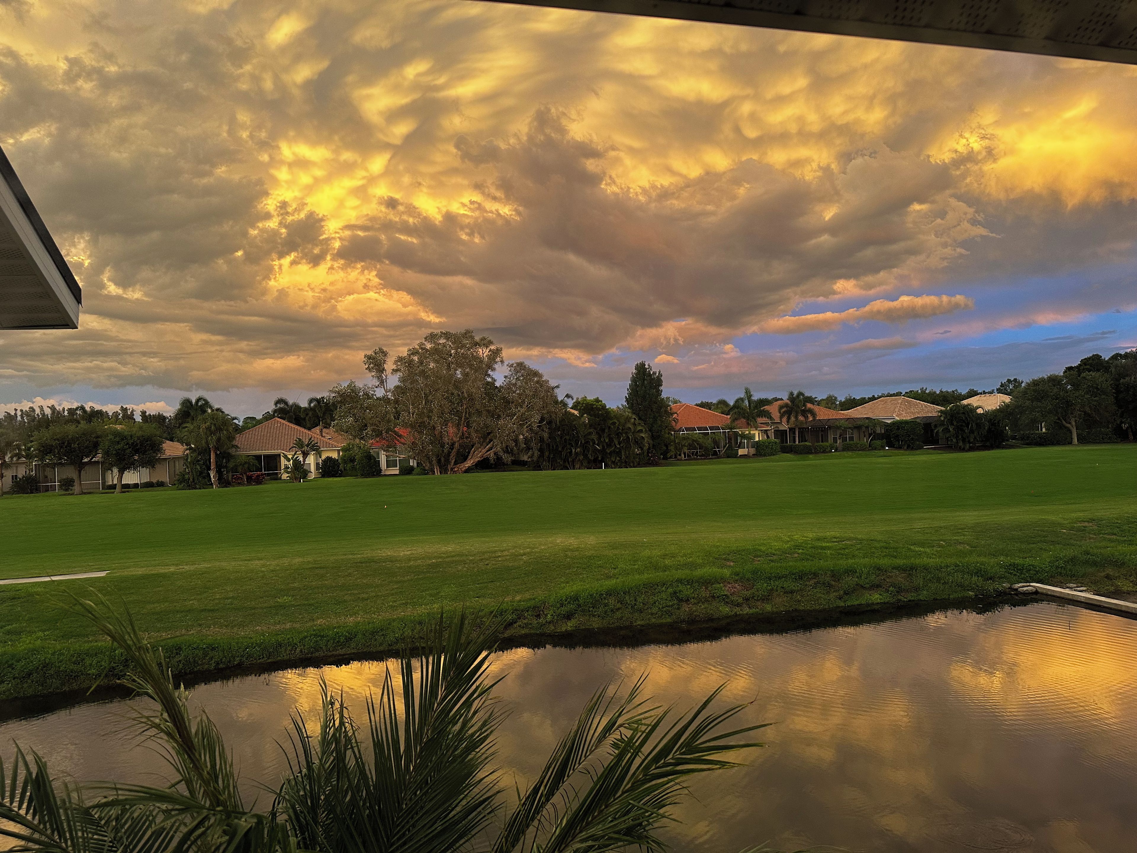A residential area with houses, a green lawn, and a pond reflecting the sky.