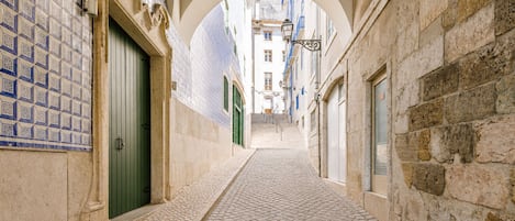 A narrow cobblestone alleyway with a tiled wall on the left and a stone wall on the right, leading to a building with a green door.