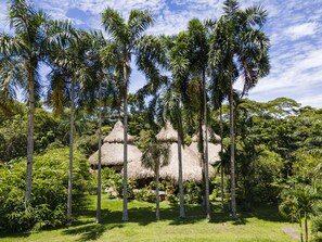 A tropical landscape with palm trees and thatched-roof huts.