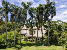 Un paisaje tropical con palmeras y cabañas de techo de paja.