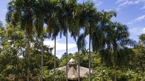 Unclassified image, 1 of 69, button - Mandala 5 Bedroom Lodge (Restrepo)