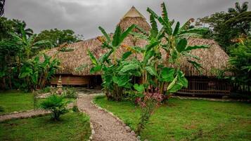 A thatched-roof structure with a gravel path leading to it, surrounded by lush greenery.