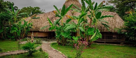 A thatched-roof structure with a gravel path leading to it, surrounded by lush greenery.