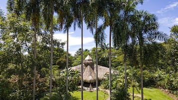Eine mit Stroh gedeckte Hütte, umgeben von hohen Palmen und üppiger Vegetation.