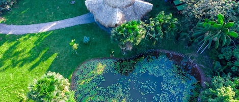A garden with a thatched-roof structure, a pond with lily pads, and various tropical plants.