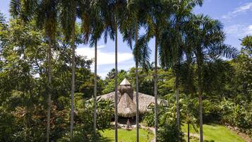 A thatched-roof hut surrounded by tall palm trees and lush greenery.