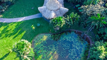 Um jardim com uma construção de colmo, um lago com folhas de lírio e diversas plantas tropicais.