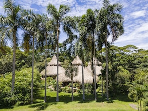 A tropical landscape with palm trees and thatched-roof huts. - Trisquel Triple Room 3 Bedroom Lodge (Restrepo)