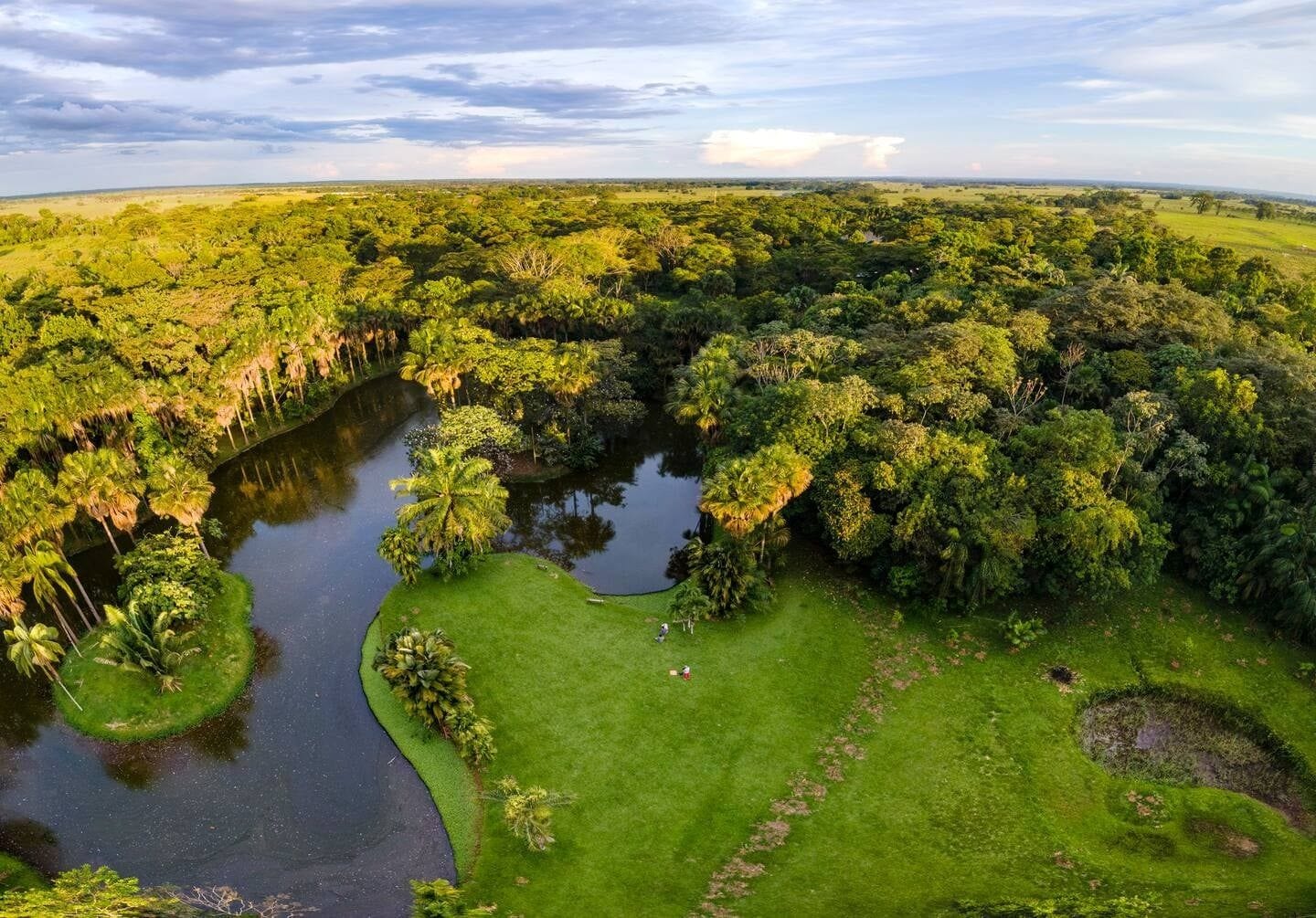 A river meandering through a dense forest with a clear sky.