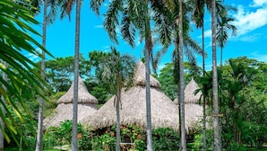 Unclassified image, 3 of 62, button - Venus Mandala Deluxe Quadruple Room 1 Bedroom Lodge (Restrepo)