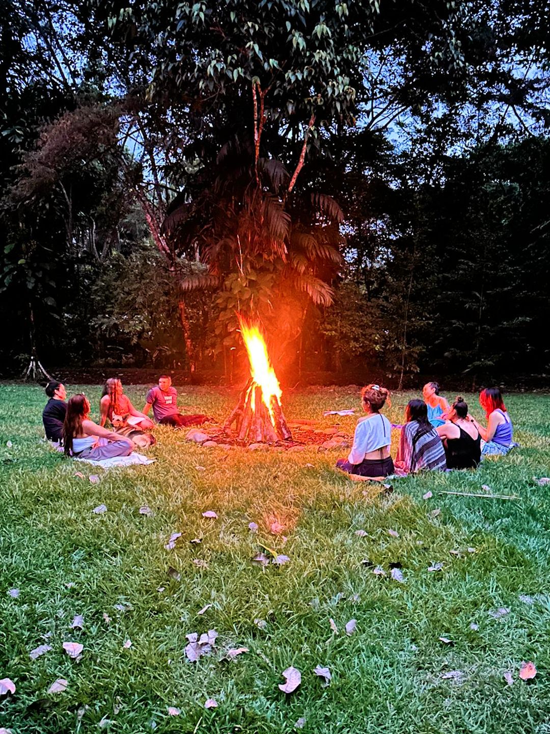 A group of people sitting around a campfire in a grassy area with trees in the background.
