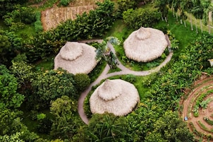 An aerial view of a garden with three thatched-roof structures and winding pathways.