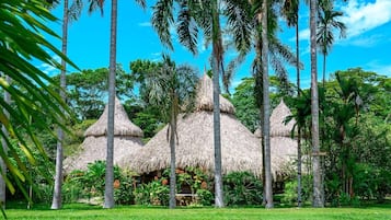 Ein tropisches Resort mit strohgedeckten Hütten, umgeben von üppiger Vegetation und hohen Palmen.