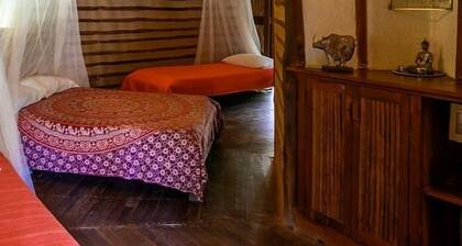 Tierra Family Comfort Room With Terrace 1 Bedroom Lodge
