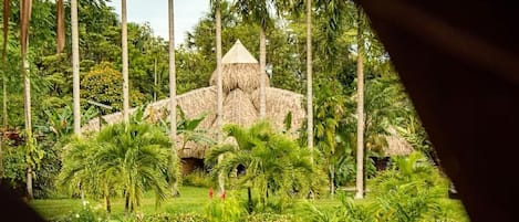 A thatched-roof structure surrounded by lush greenery and palm trees.