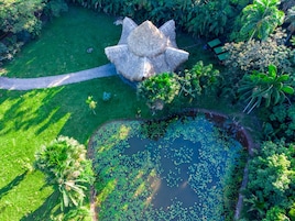 Un jardín con una estructura de techo de paja, un estanque con nenúfares y diversas plantas tropicales.