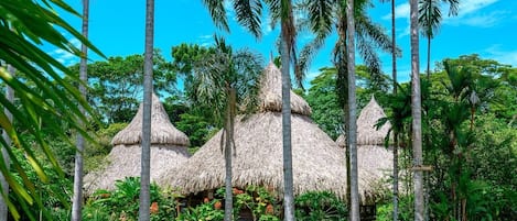 A tropical resort with thatched-roof huts surrounded by lush greenery and tall palm trees.