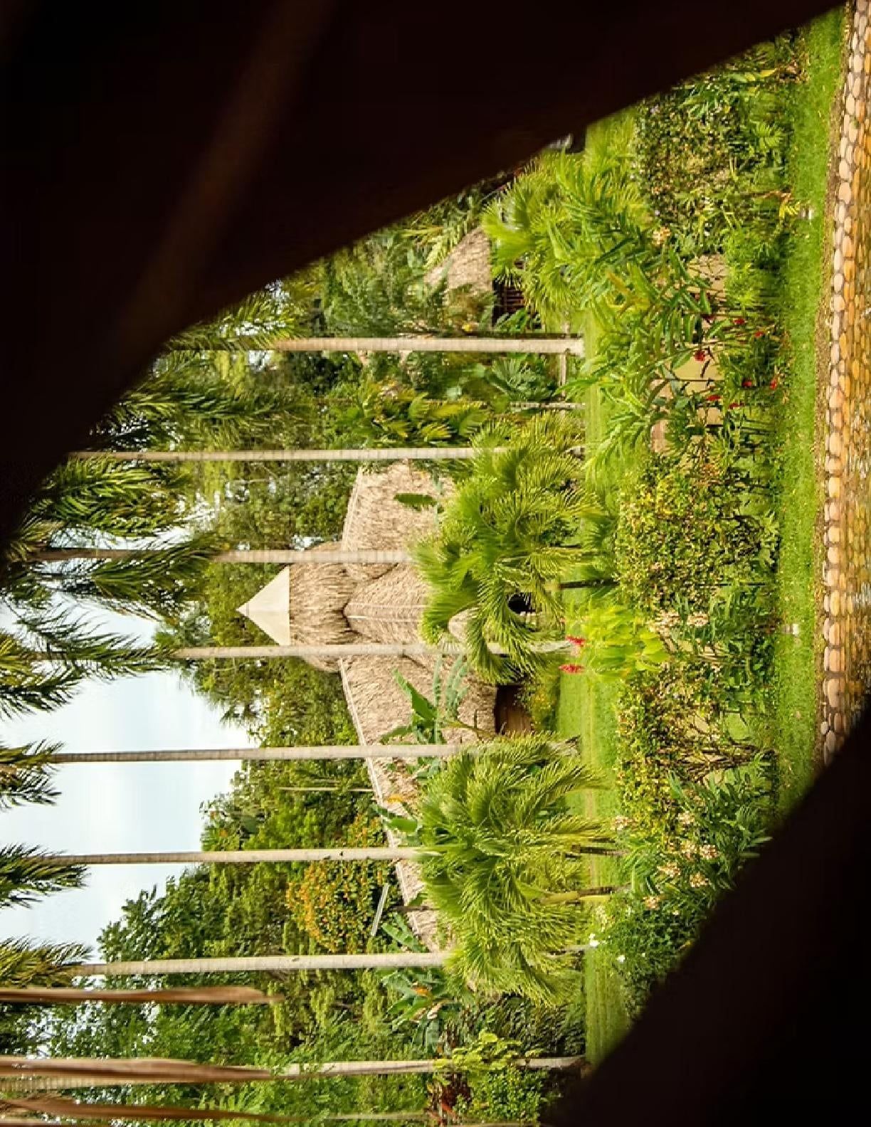 منوع