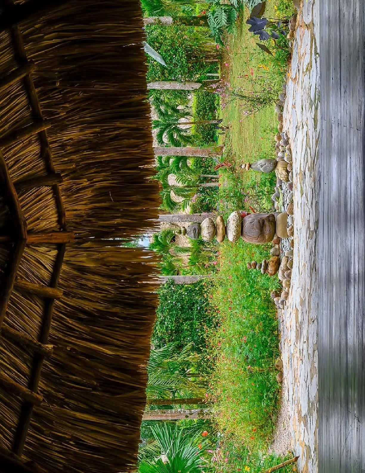 منوع