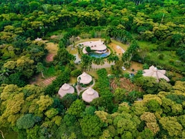 Vista aérea de un complejo turístico con varias estructuras de techo de paja, una piscina central y vegetación densa circundante.