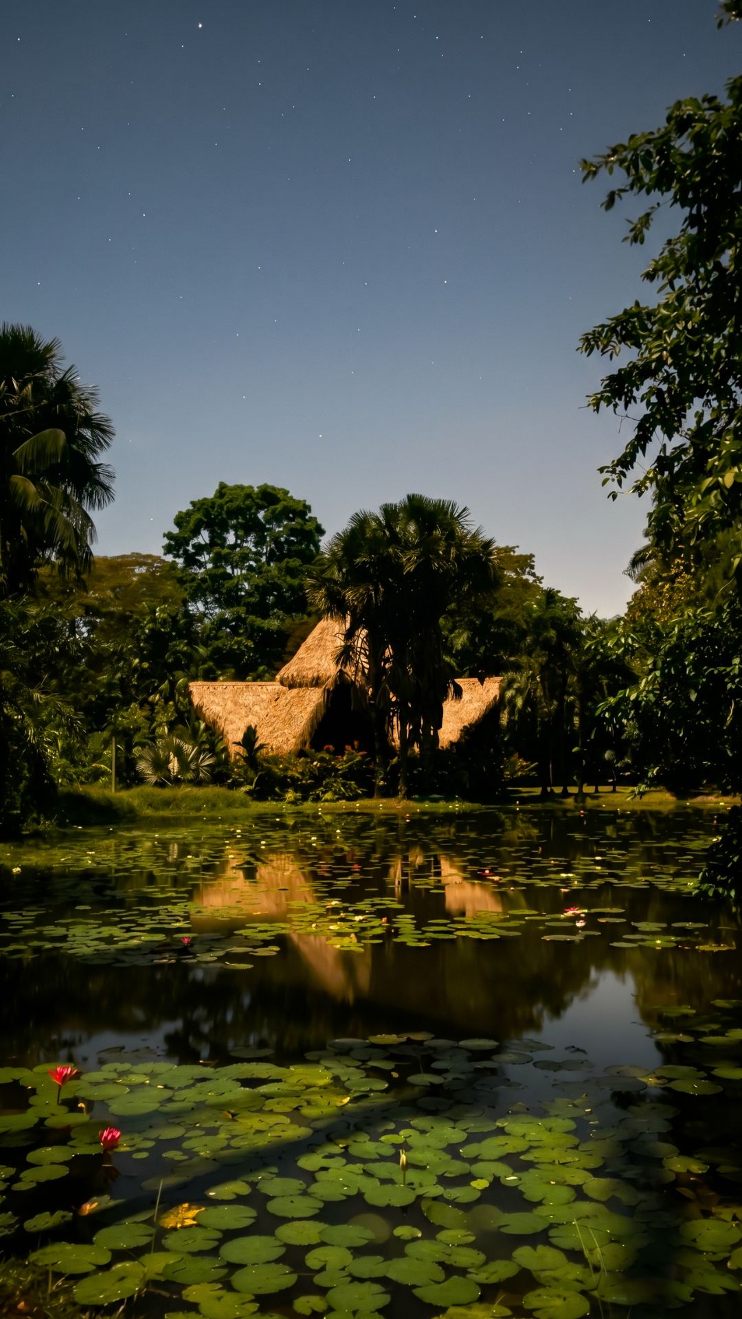 A serene pond with lily pads and a thatched-roof structure surrounded by lush greenery.